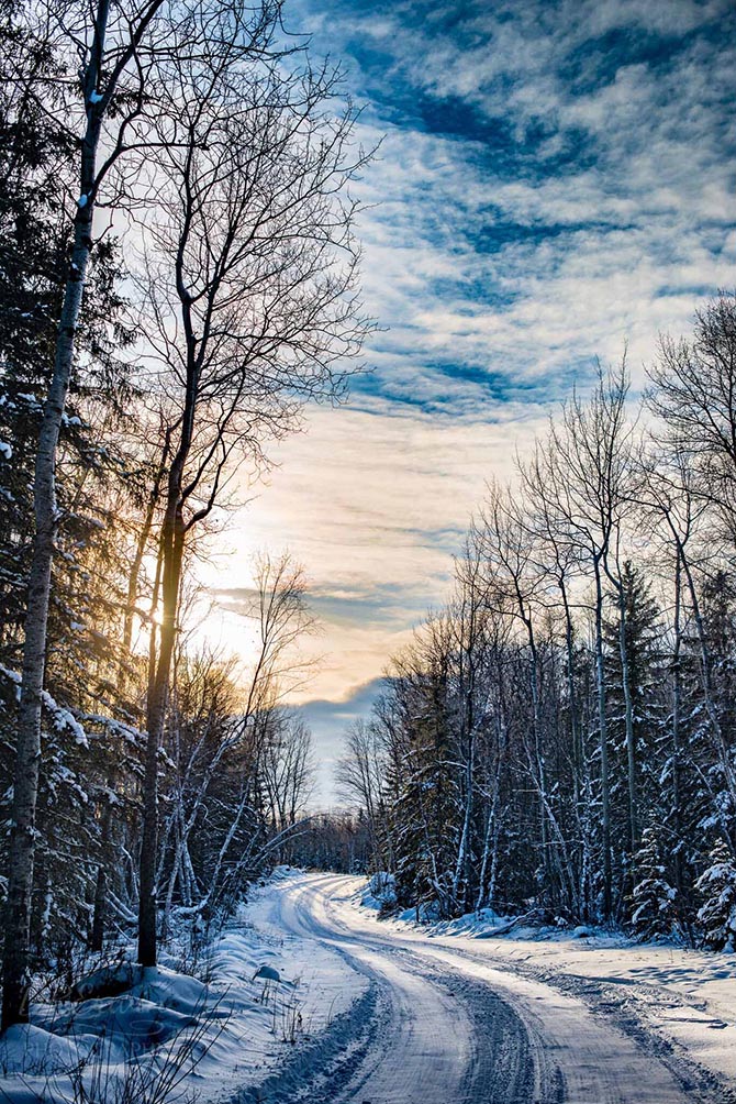 road in a forest during winter